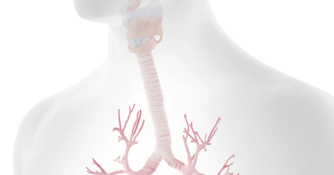 Jakie leki na zapalenie tchawicy skutecznie łagodzą objawy?