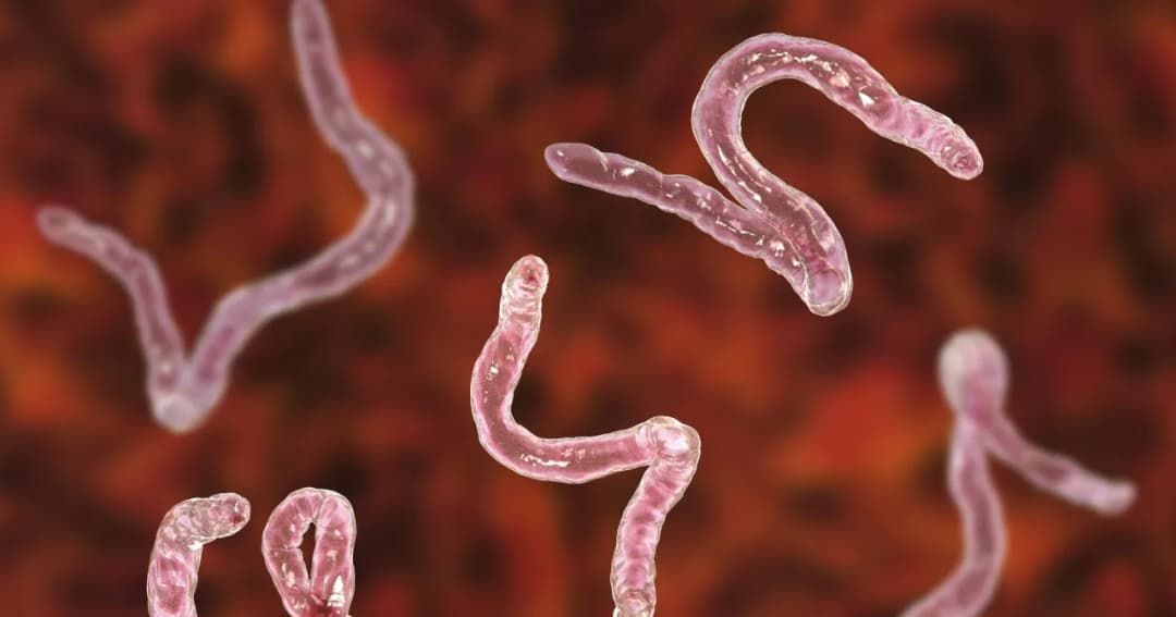 Jakie leki na lamblie u dzieci? Skuteczne terapie i dawkowanie